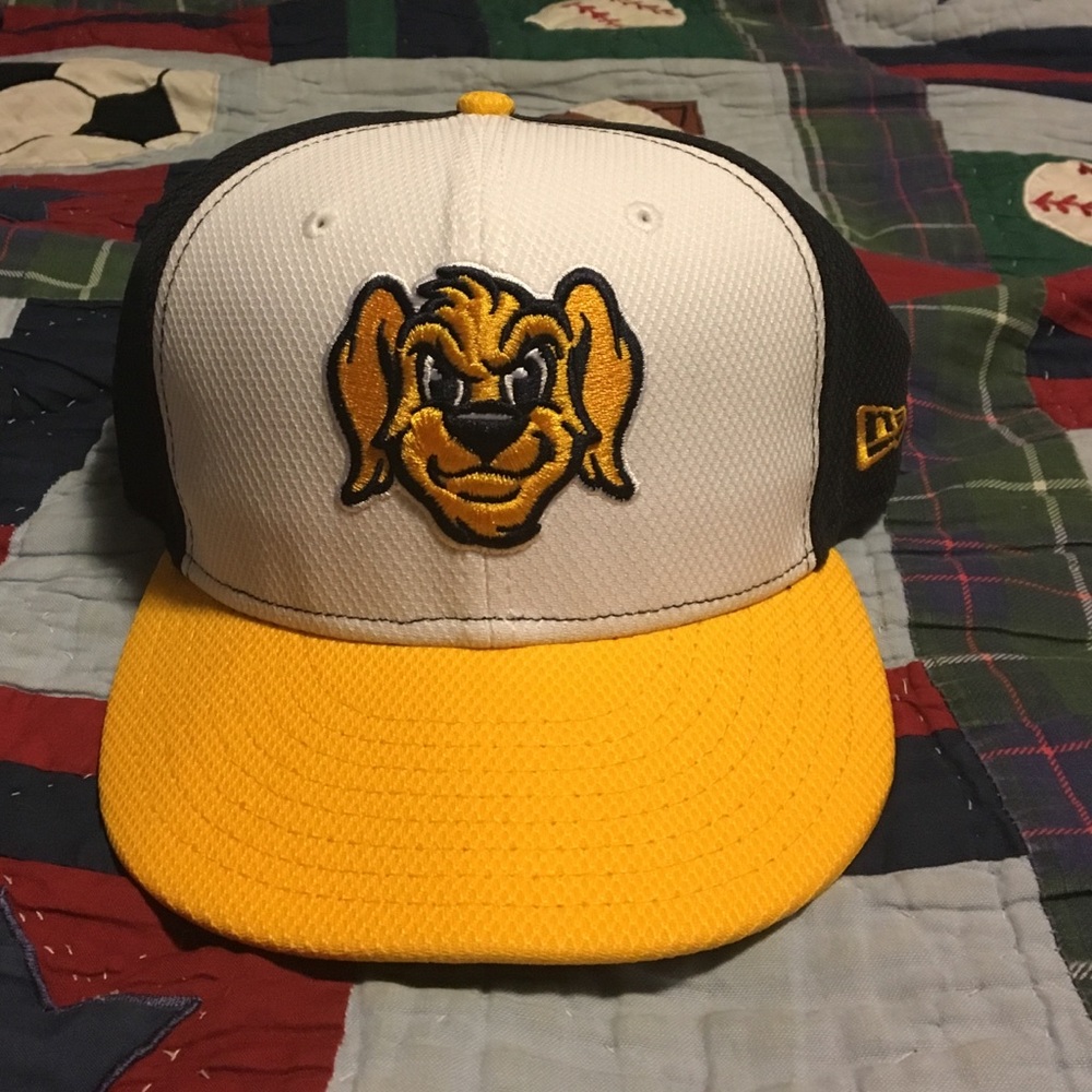 Charleston RiverDogs Baseball Hat